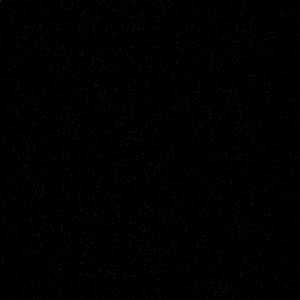 Meet your Posher, Darius